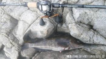 �����ʥ�