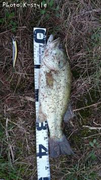 �֥�å��Х���