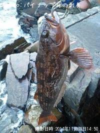 �����ʥ�