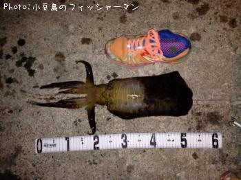 �����ꥤ��