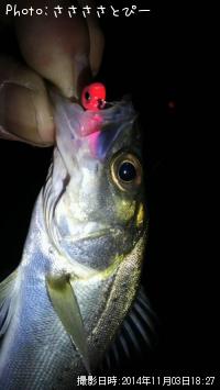 �����Х���