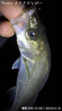 �����Х���