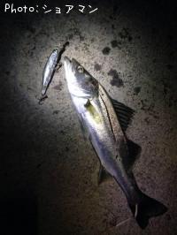 �����Х�