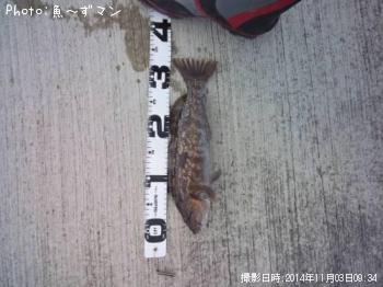 �����ʥ�