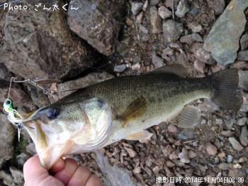 �֥�å��Х�