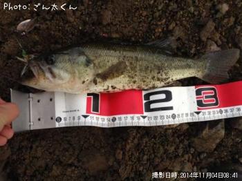 �֥�å��Х�