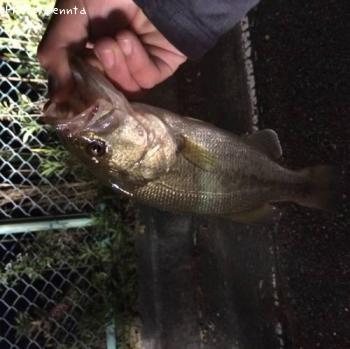 ¥Ö¥é¥Ã¥¯¥Ð¥¹