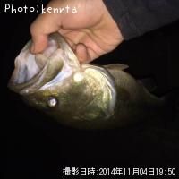 �֥�å��Х�