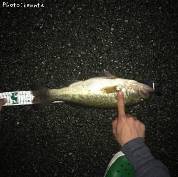 �֥�å��Х�