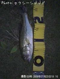 �֥�å��Х�