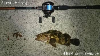 �٥å�������