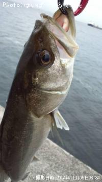 �����Х�