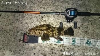 �٥å�������