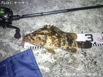 ¥Ù¥Ã¥³¥¦¥½¥¤