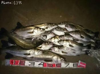 �����Х�