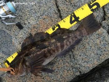 �����ʥ�