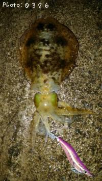 �����ꥤ��