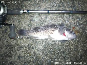 ¥Ù¥Ã¥³¥¦¥½¥¤