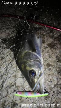 �����Х�