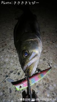 �����Х�