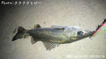 �����Х�