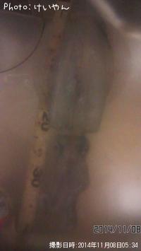 �����ꥤ��