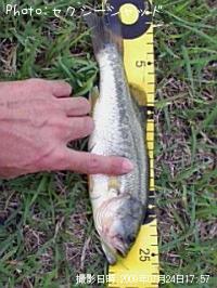 ¥Ö¥é¥Ã¥¯¥Ð¥¹