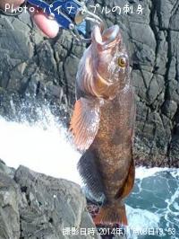 �����ʥ�