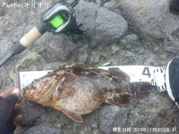 ¥Ù¥Ã¥³¥¦¥½¥¤