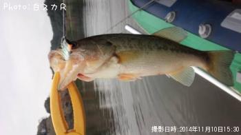 �顼���ޥ����Х�