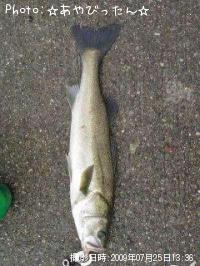 �����Х�