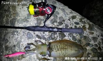 ¥¢¥ª¥ê¥¤¥«