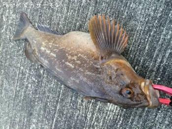 �����ʥ�