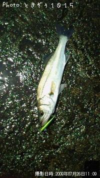 �����Х�