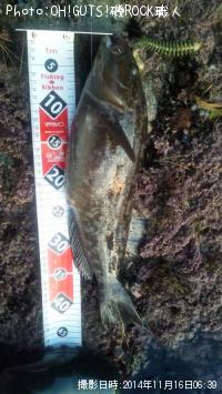 �����ʥ�