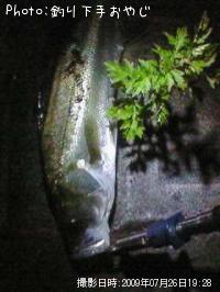 �����Х�