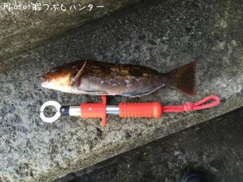 �����ʥ�