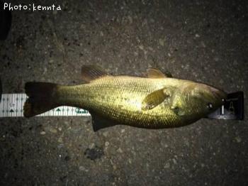 ¥Ö¥é¥Ã¥¯¥Ð¥¹