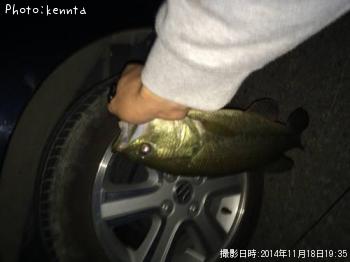 ¥Ö¥é¥Ã¥¯¥Ð¥¹