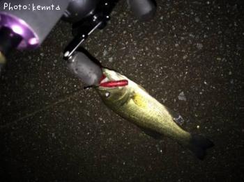 �֥�å��Х�