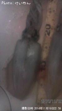 ¥¢¥ª¥ê¥¤¥«