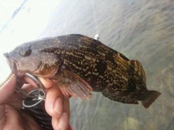 �����ʥ�