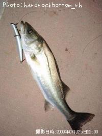 �����Х�