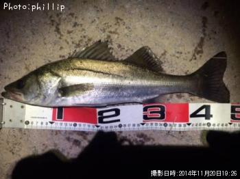 �����Х�