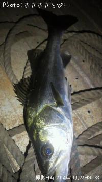 �����Х��������