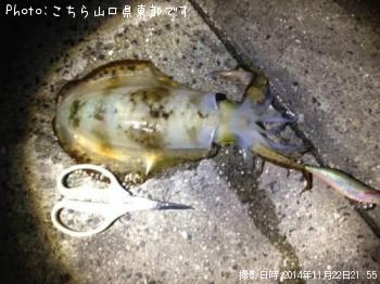 �����ꥤ��