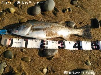 �����Х�