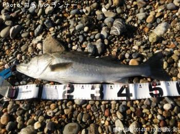 �����Х�