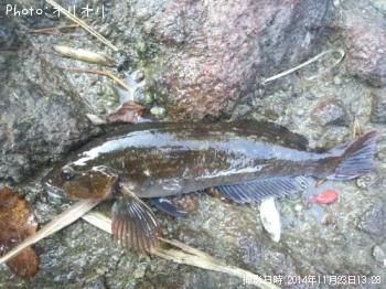 �����ʥ�