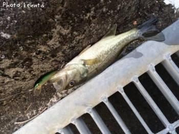 �֥�å��Х�